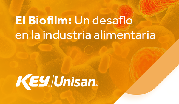 El Biofilm: Un desafío en la industria alimentaria.