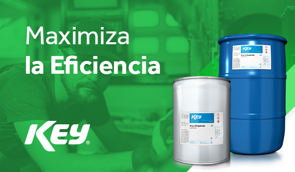 Maximiza la Eficiencia